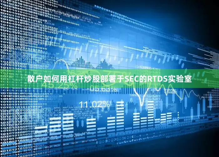 散户如何用杠杆炒股部署于SEC的RTDS实验室